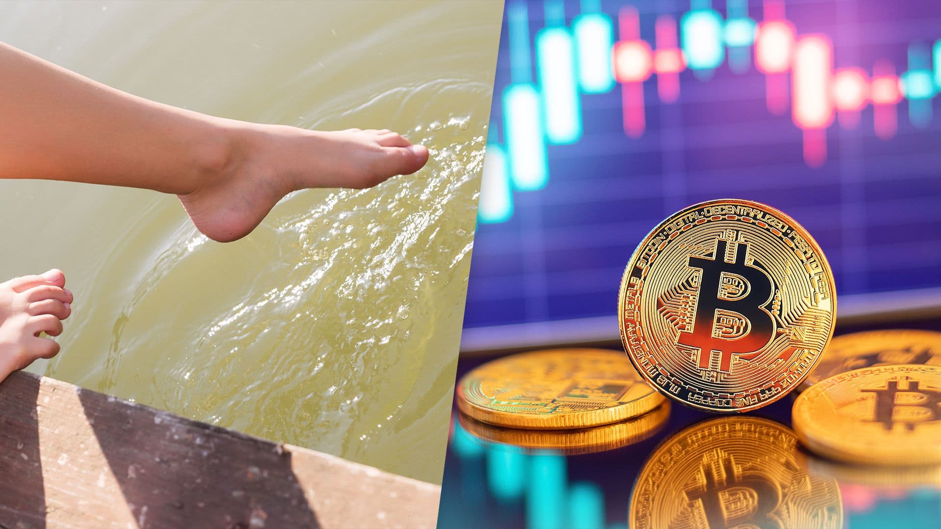 Crypto's Casino: Navigating the Minefield – Four Paths to Invest in a Revolution (and Avoid the Carnage)